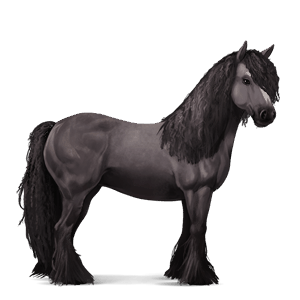 ridehest blakk tobiano