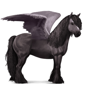 ridepegasus arabisk hest flueskimmel grå