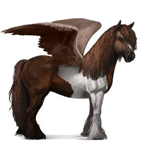 ridepegasus quarter horse skimlet