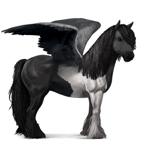 ridepegasus tinker tobiano svart flekket