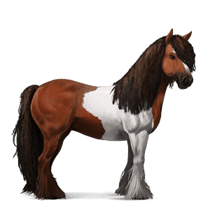 ridehest overo fuks flekket