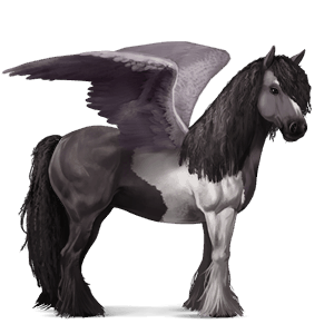 ridepegasus tinker tobiano svart flekket
