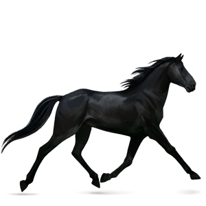 ridehest lipizzaner lys grå