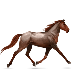 ridehest quarter horse palomino
