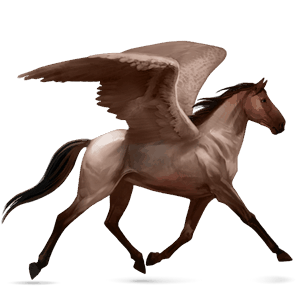 ridepegasus tennessee walker skimlet
