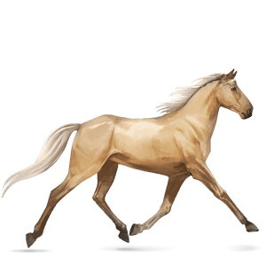 ridehest tennessee walker palomino