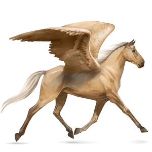 ridepegasus argentinsk criollo blakk