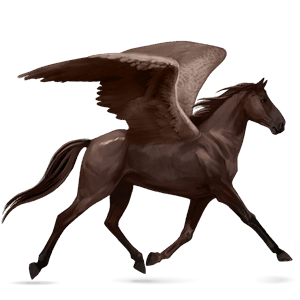 ridepegasus quarter horse epleskimmel