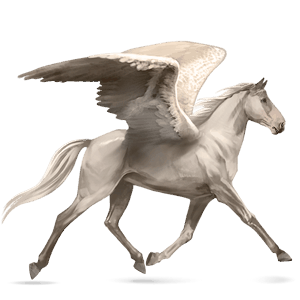 ridepegasus mustang rødbrun med flekkete teppe