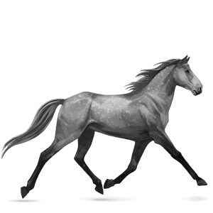 ridehest mustang fuks med flekkete teppe