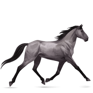 ridehest svart