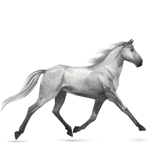 ridehest mustang lys grå