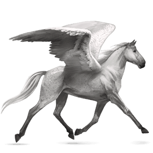 ridepegasus quarter horse rødbrun