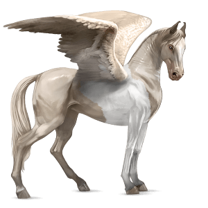 ridepegasus mustang svart