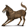 pegasus-ponni varhest