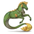 enhjørningsponni salamander