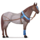 ridehest slette