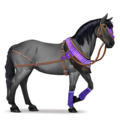 ridepegasus fjell