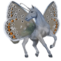 ponni shetlandsponni fuks