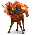 ridehest fullblodshest fuks
