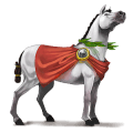 ridehest arabisk hest fuks