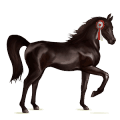 ridehest berberhest linfarget fuks