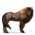 villhesten bison