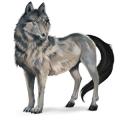 villhesten ulv