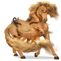 ridehest berberhest rødbrun