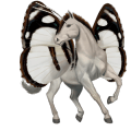 ridehest nokotahest skimlet