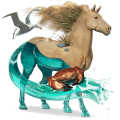ridehest arabisk hest fuks