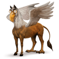 ponni fjording brunblakk