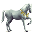 ridehest nokotahest svart fuks