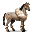 ridehest quarter horse brun