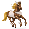 ridehest berberhest brun