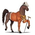 ridehest marwari leverfuks