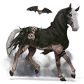 ridepegasus nokotahest overo fuks flekket