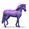 regnbuens hest, devoted indigo