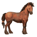 ridehest leverfuks tobiano