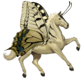arbeidspegasus shire svart