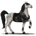 ridehest quarter horse skimlet