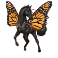ridepegasus knabstruper skimlet