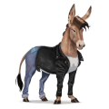 ridehest spansk renraset hest svart fuks