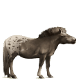 ridehest lipizzaner lys grå