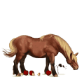 ridehest rødbrun