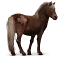 villhesten sable island-ponni