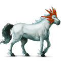 ridepegasus nokotahest svart overo