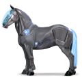 ridehest curlyhest blakk tobiano