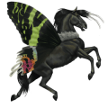 ponni fjording brunblakk