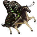 ponni fjording brunblakk